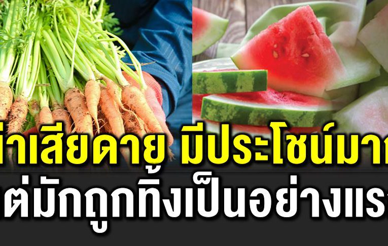 น่าเสี ยด าย มีประโ ยชน์มาก แต่มักถูกตัดทิ้ง 