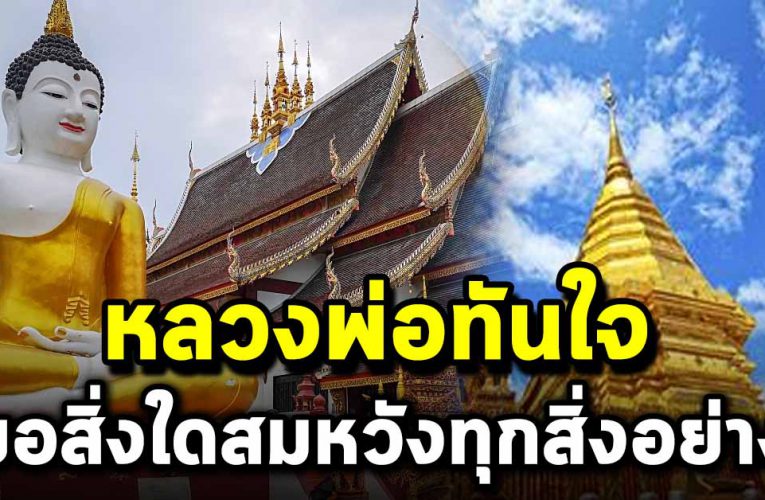  หลวงพ่อทันใจ ก็อะไรก็สมหวังทุกสิ่งอย่าง