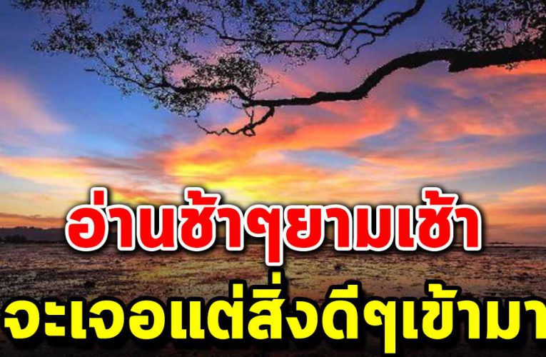  บทความดีๆวันนี้ก็จะเจอแต่สิ่งดีๆเข้ามาในชีวิต