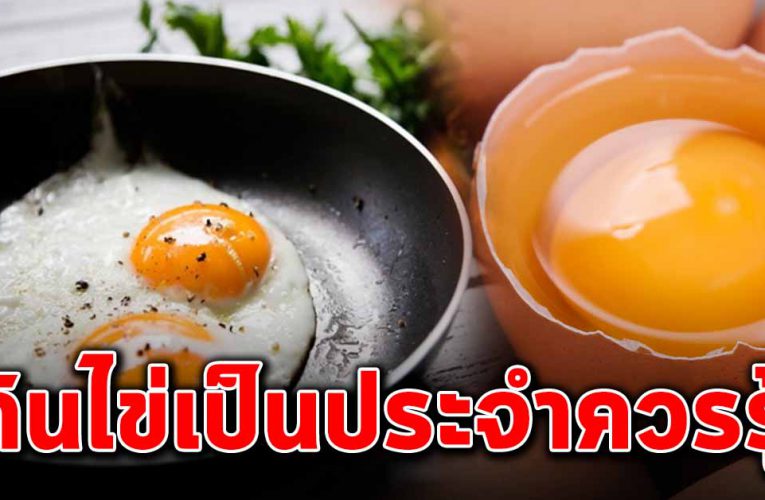 ทานไข่ประจำทุกวัน คุณประโยช์มากล้น