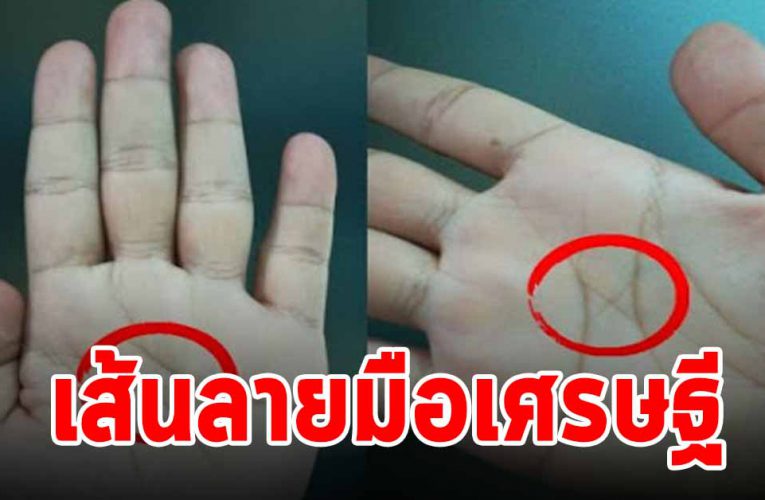 เส้นกากบาทกลางฝ่ามือ ใครมีลองยกมือขึ้นมาดู