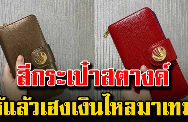 เผยสีกร ะเป๋าสตางค์ดูดเงิน  ใช้แล้วเฮง เ งิ นไหลมาเทมา