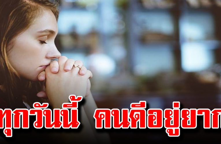 ไม่มีคู่อาจเงียบเหงาบ้างแต่สามารถมีความสุขได้