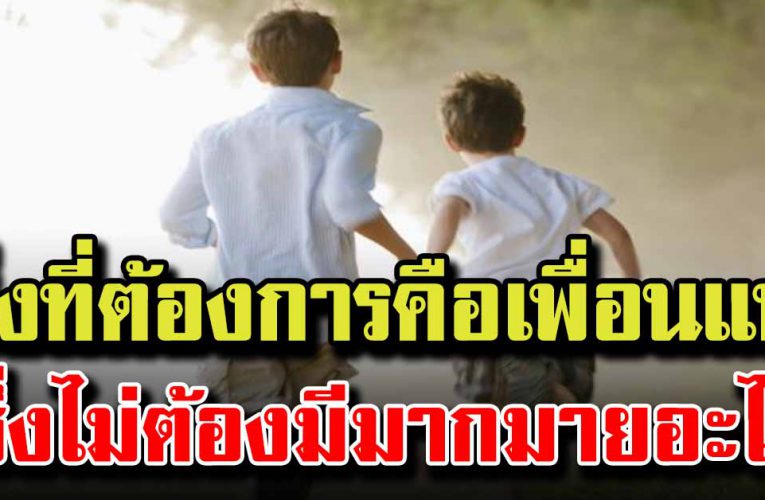 วันหนึ่งเราจะพบว่า สิ่งที่ต้องการคือเพื่อนแท้ ซึ่งไม่ต้องมากมายอะไร