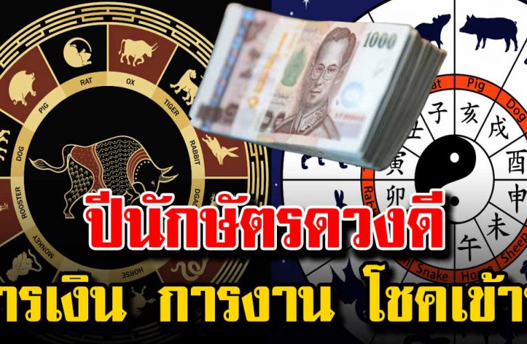 ดวงปีนักษัตร การเงิน และโชคลาภเข้าหาแบบไม่คาดฝัน