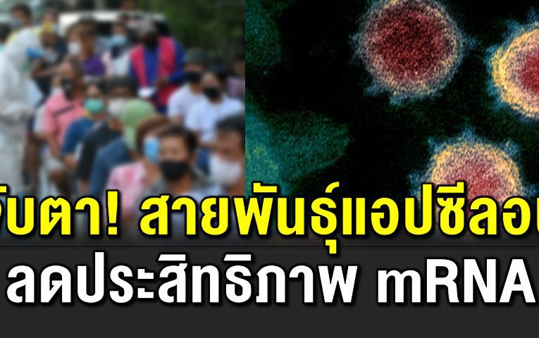 โควิ ดแอปซีลอน ลดประสิทธิภาพ mRNA ได้