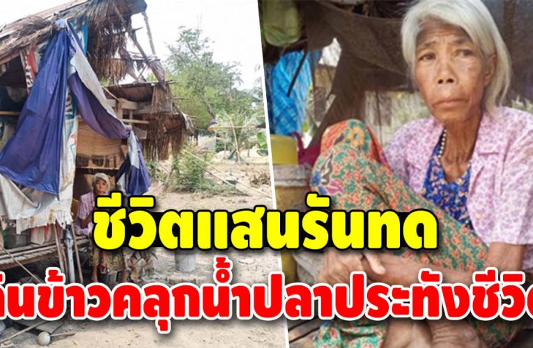 เวทนา ชีวิตแสนรันทด ไร้ลูกหลานดูแลต้องกินข้าวคลุกน้ำปลาประทังชีวิต