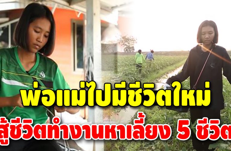 สงสารชีวิต น้องบุ๋ม พ่อแม่ไปมีชีวิตใหม่ ต้องรับจ้างหาเลี้ยงปู่ย่า