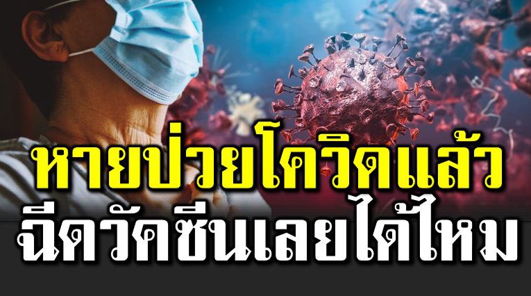 หายป่ วยโควิ ดแล้ว ควรฉี ดวัคซีนทันทีหรือไ ม่