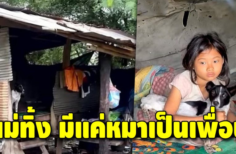 แม่ทิ้งไป ต้องอยู่กับหมาในกระท่อมกลางนา บางวันกินน้ำคลองประทังชีวิต