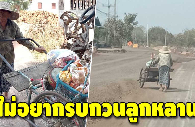 สู้ไม่ถอย ยายวัย 82 เข็นรถขๅยของตามชุมชน หาเลี้ยงตัวเอง
