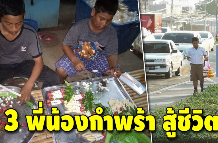 เพราะชีวิตเลือกเกิดไม่ได้ 3 พี่น้อง กำพร้า ช่วยกันทำงานหาเงินเรียน