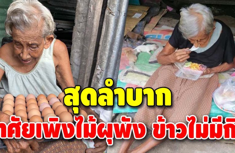 สุดรันทด 7 ชีวิต อาศัยข้าวก้นบาตรประทังชีวิต พระไม่ได้บิณฑบาตก็ต้องอด