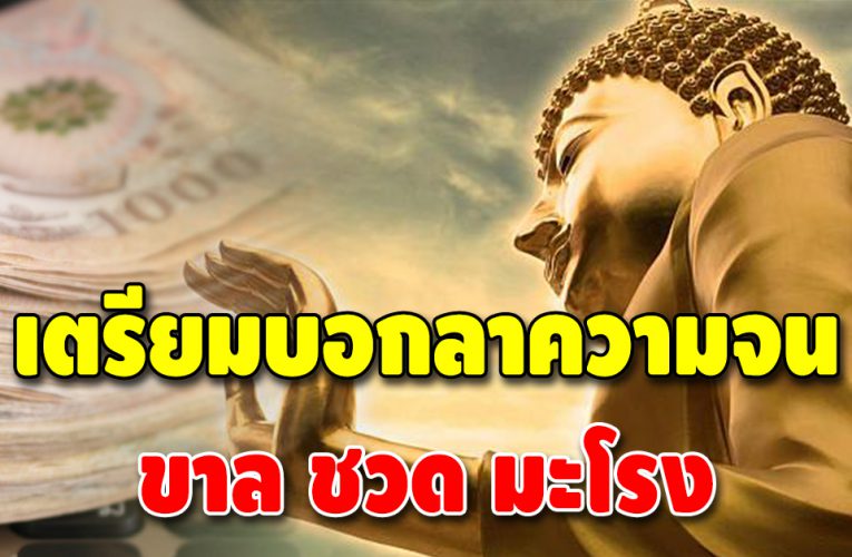 3 ปีนักษัตร ดวงโดดเด่น ฟ้าเปิดประทานวาสนาให้