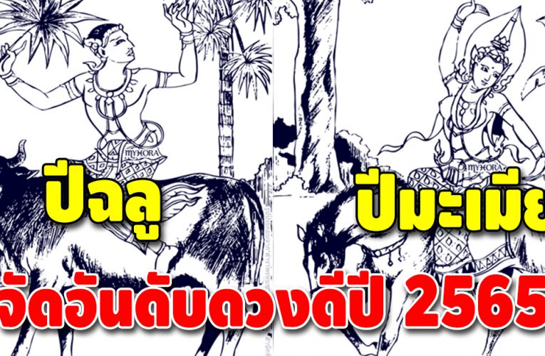 ดวงดี 3 ปีนักษัตร ชีวิตมีแต่เรื่องดีๆ ตลอดปี 2565