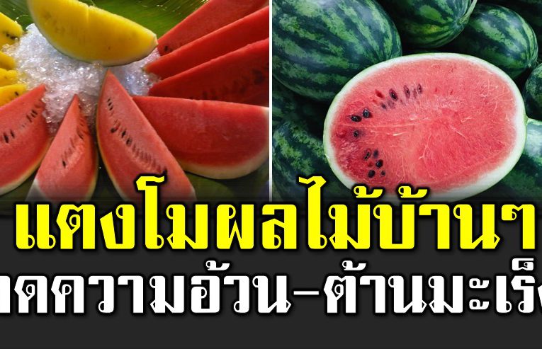 7 ประโยชน์ของแตงโม ล ดความอ้วน-ต้า นมะเ ร็ง